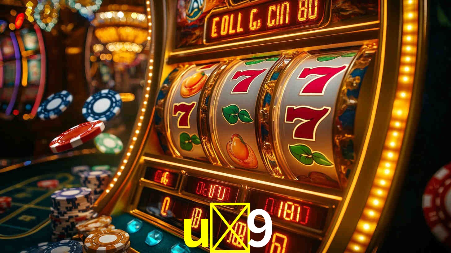 Premium Interface u-9